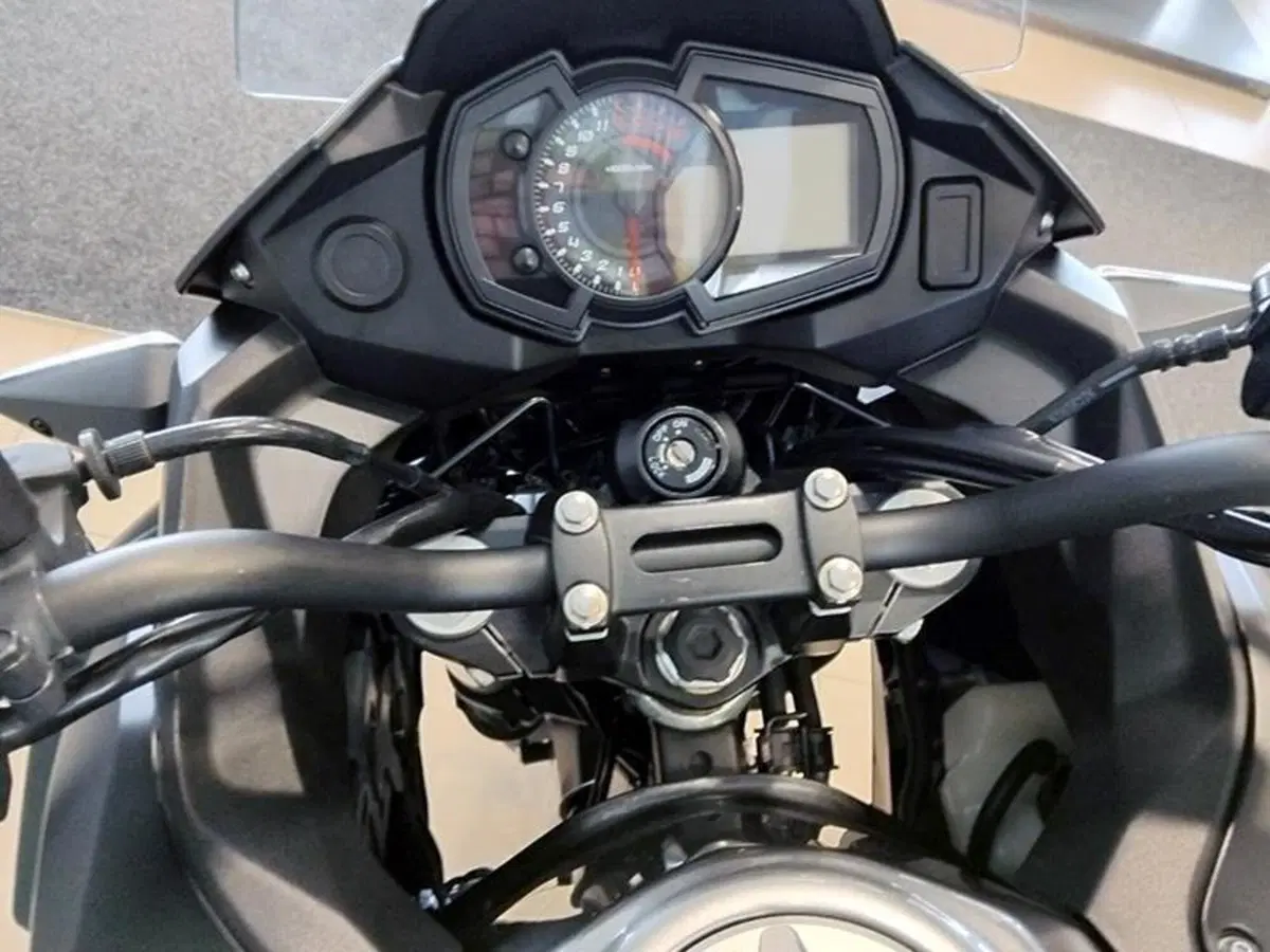 Kawasaki Versys-X 300 (2017 - 20) (5)