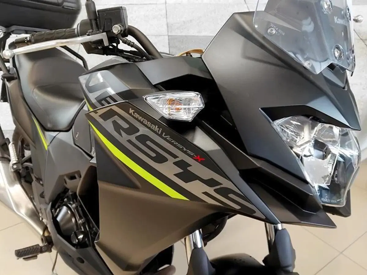 Kawasaki Versys-X 300 (2017 - 20) (6)