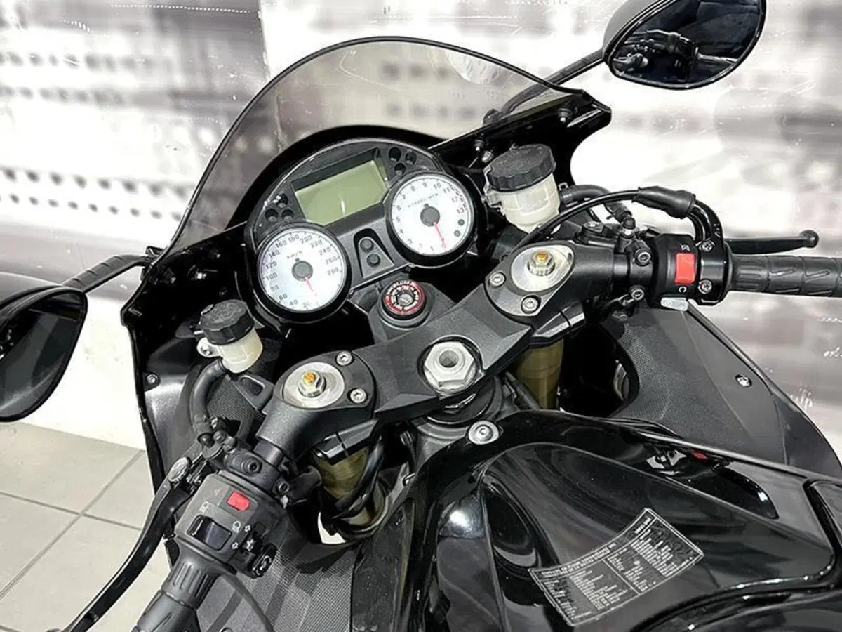 Kawasaki ZZR 1400 (2006 - 11) (6)