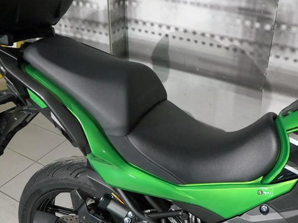 Kawasaki Versys 1000 (2019 - 20) (3)