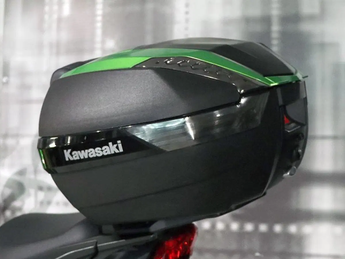 Kawasaki Versys 1000 (2019 - 20) (5)