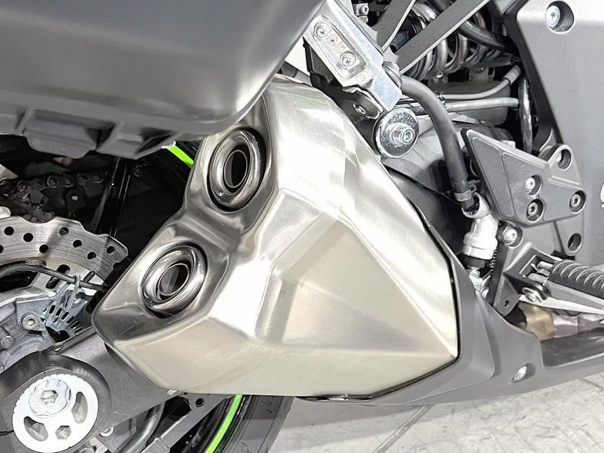 Kawasaki Z 1000 SX Tourer (2017 - 20) (3)