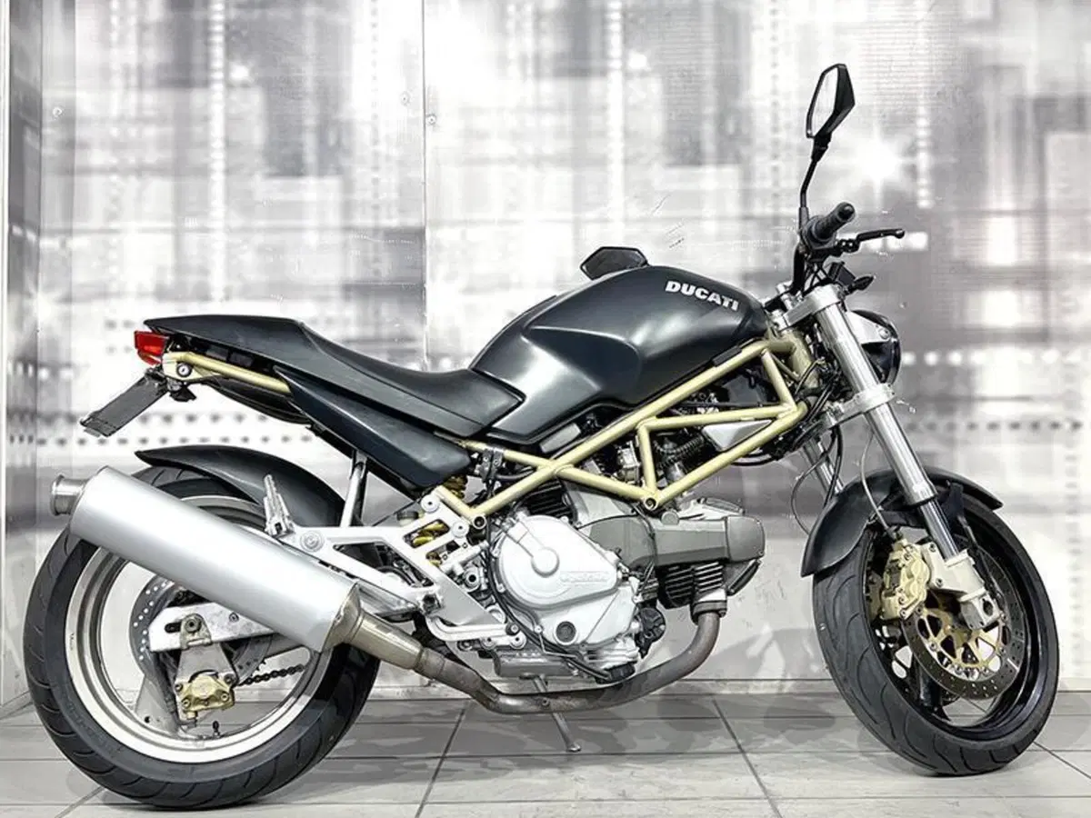 Ducati Monster 600 (1994 - 02) (8)