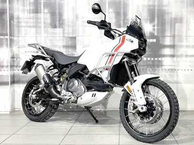 Ducati DesertX (2022 - 25) usata