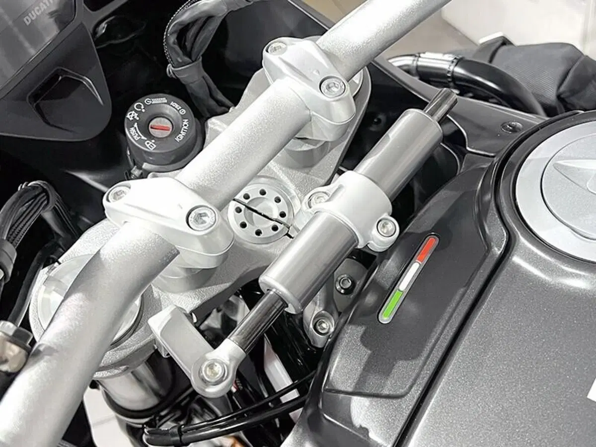 Ducati DesertX (2022 - 25) (3)