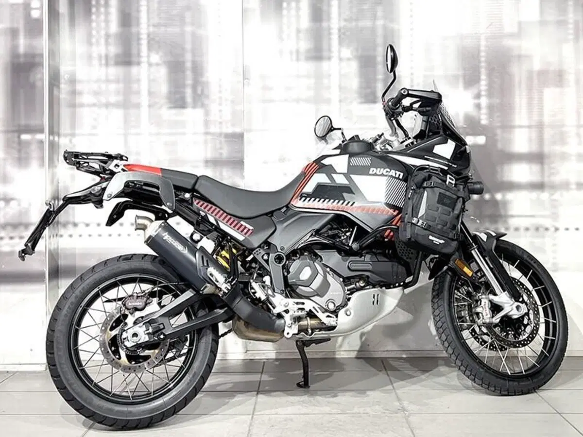 Ducati DesertX (2022 - 25) (8)