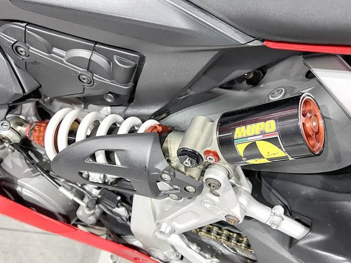 Ducati 1199 Panigale R ABS (2013 - 17) (4)