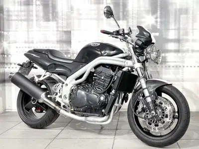 Triumph Speed Triple 955 (1998 - 01) usata