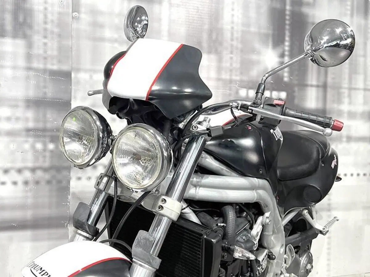 Triumph Speed Triple 955 (1998 - 01) (5)