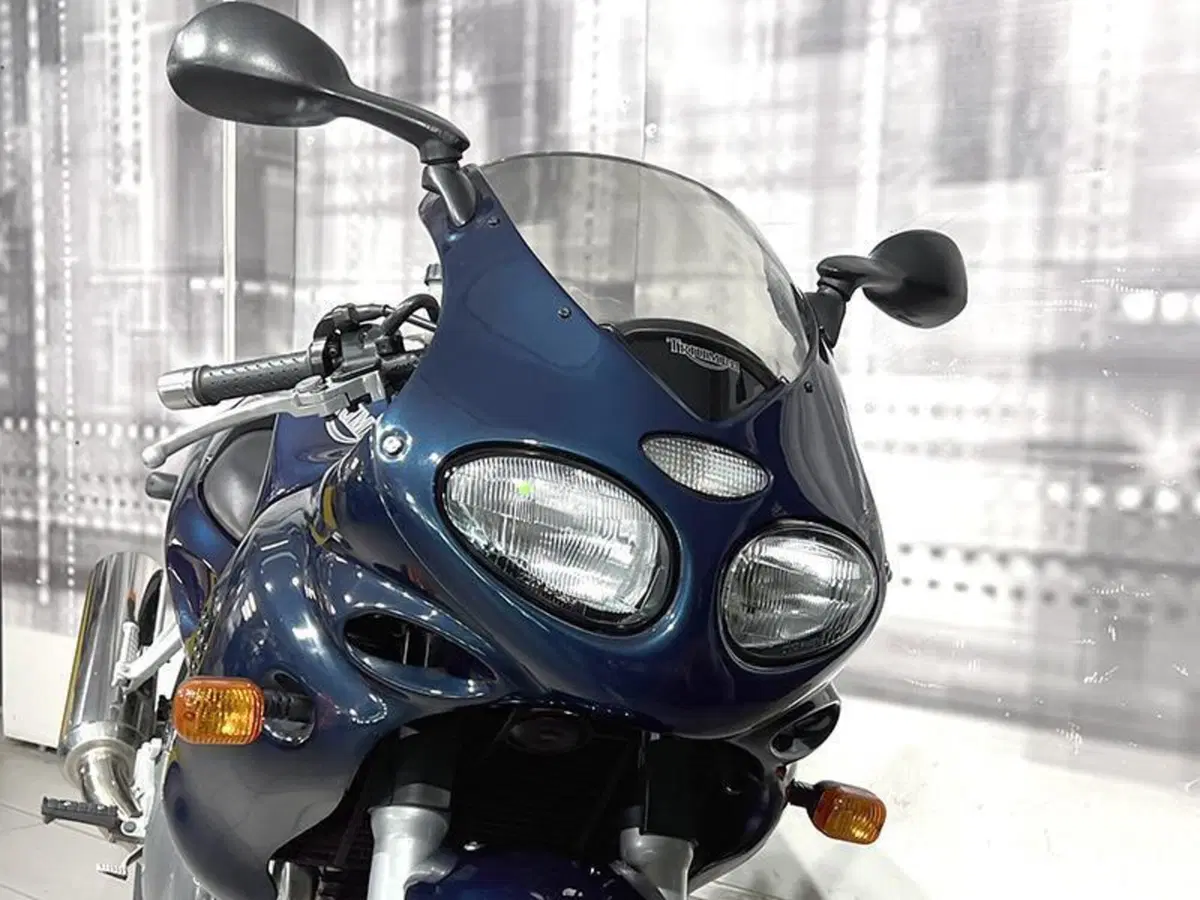 Triumph Sprint 955 RS (1999 - 01) (9)