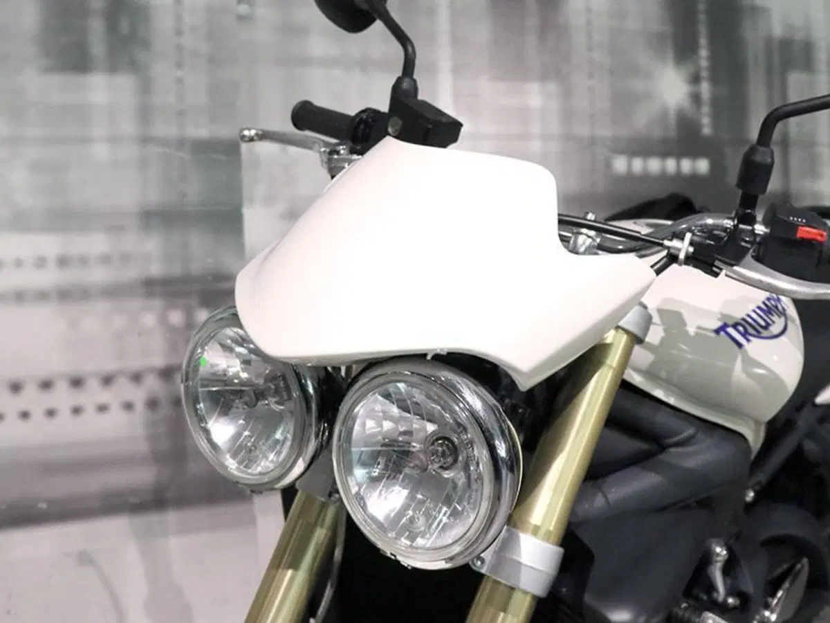 Triumph Street Triple (2007 - 12) (9)
