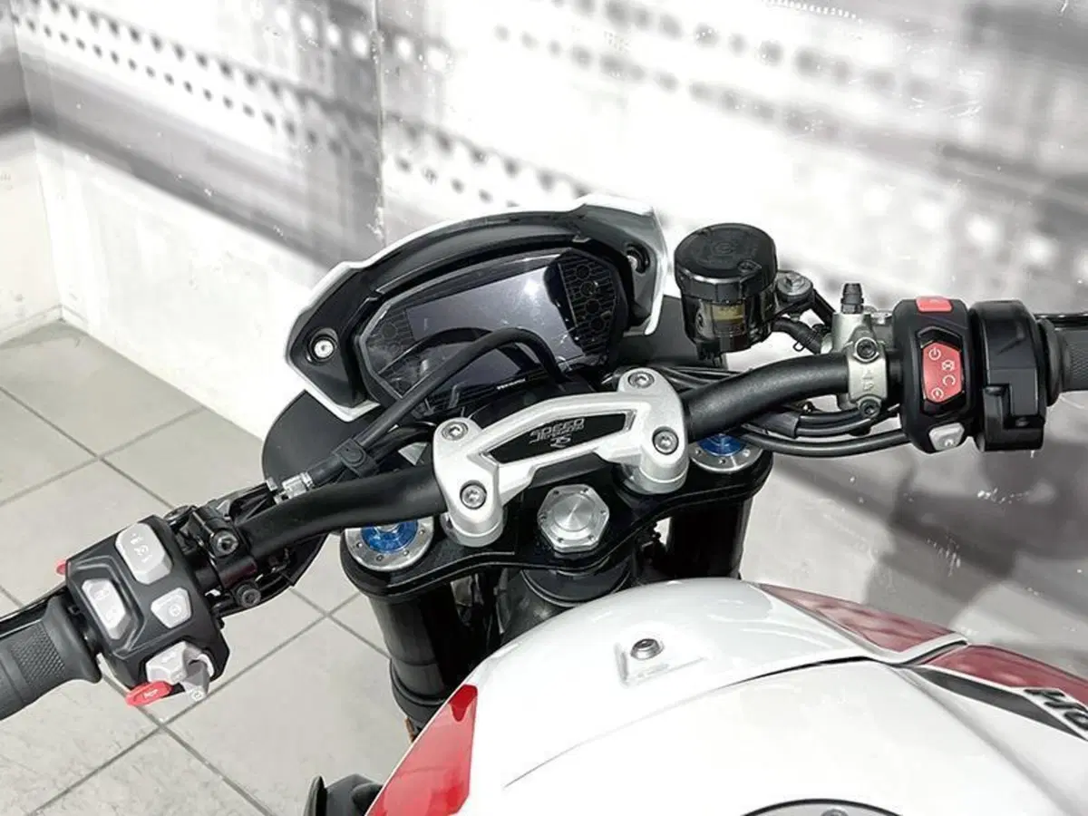 Triumph Speed Triple 1050 RS (2018 - 20) (6)