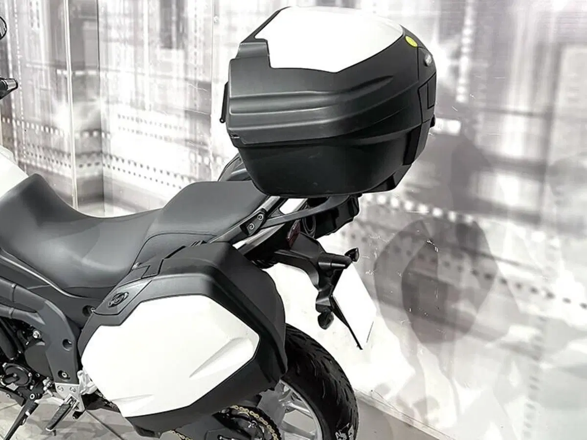 Triumph Tiger 1050 (2006 - 12) (3)