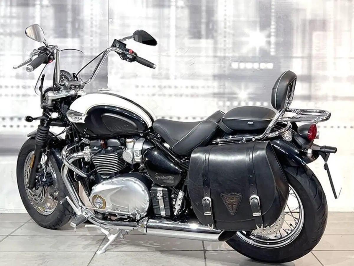 Triumph Bonneville Speedmaster 1200 (2018 - 20) (2)