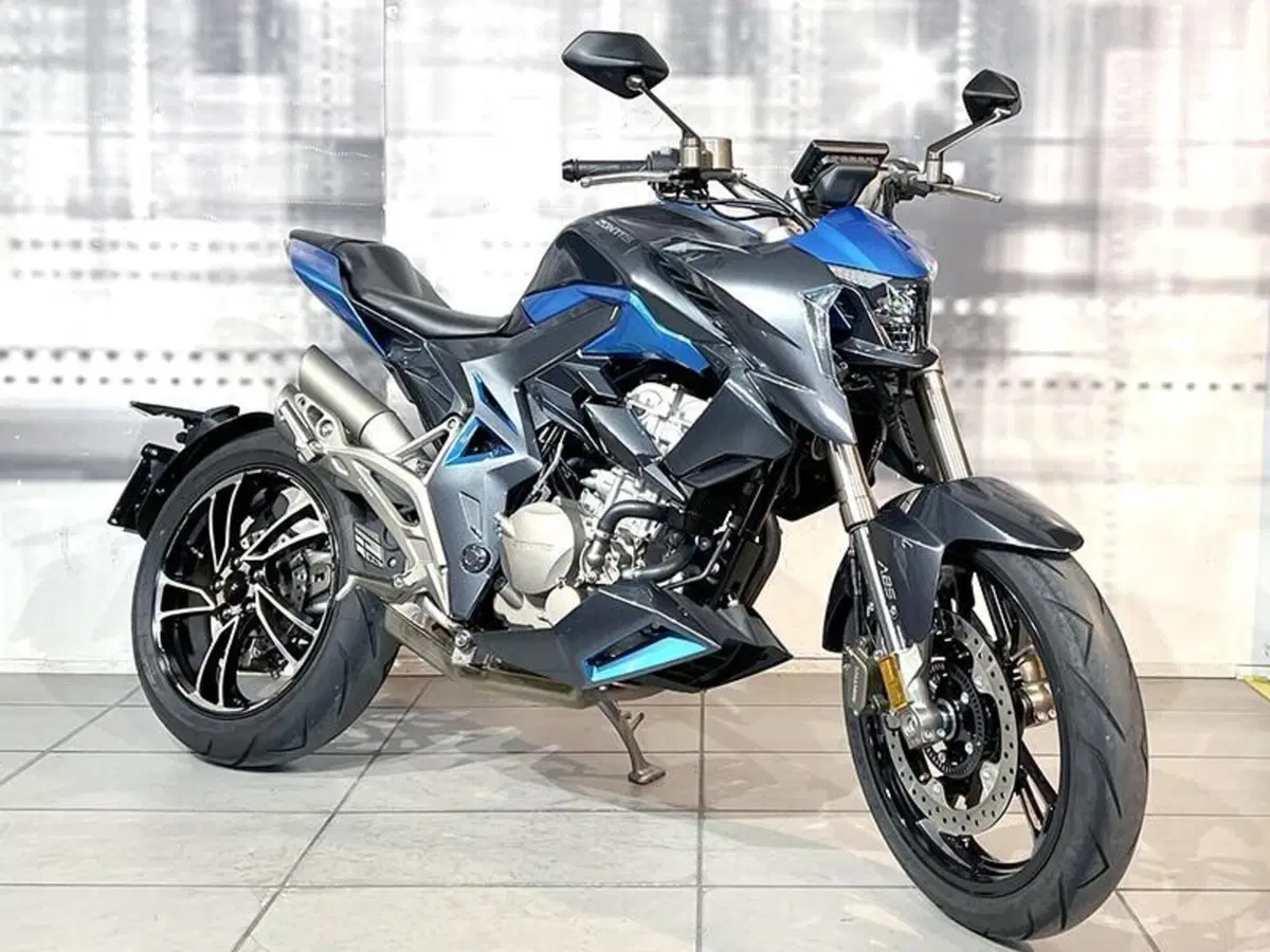 Zontes ZT310-R1 (2022 - 23)
