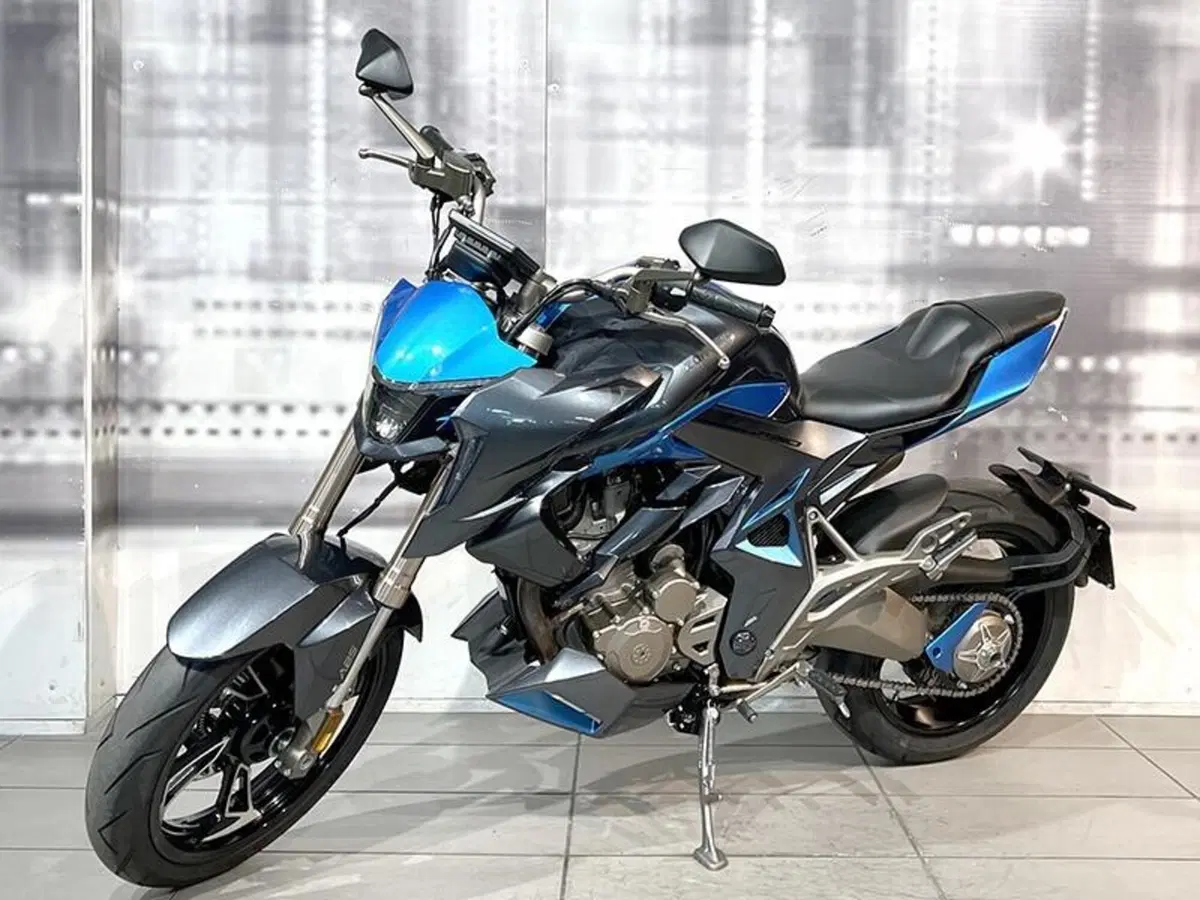 Zontes ZT310-R1 (2022 - 23) (6)