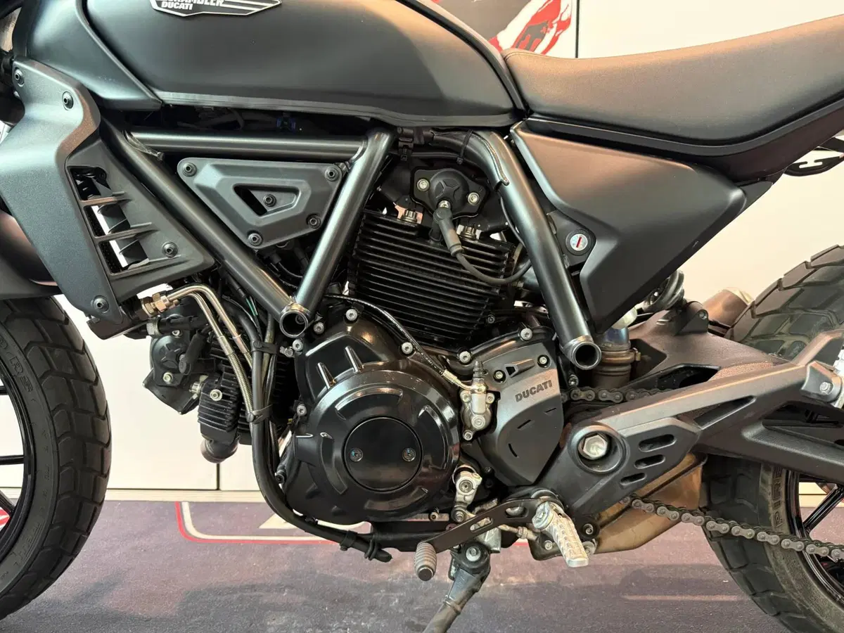 Ducati Scrambler 800 Icon Dark (2025 - 26) (12)