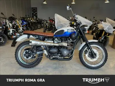 Triumph Scrambler (2006 - 17) usata