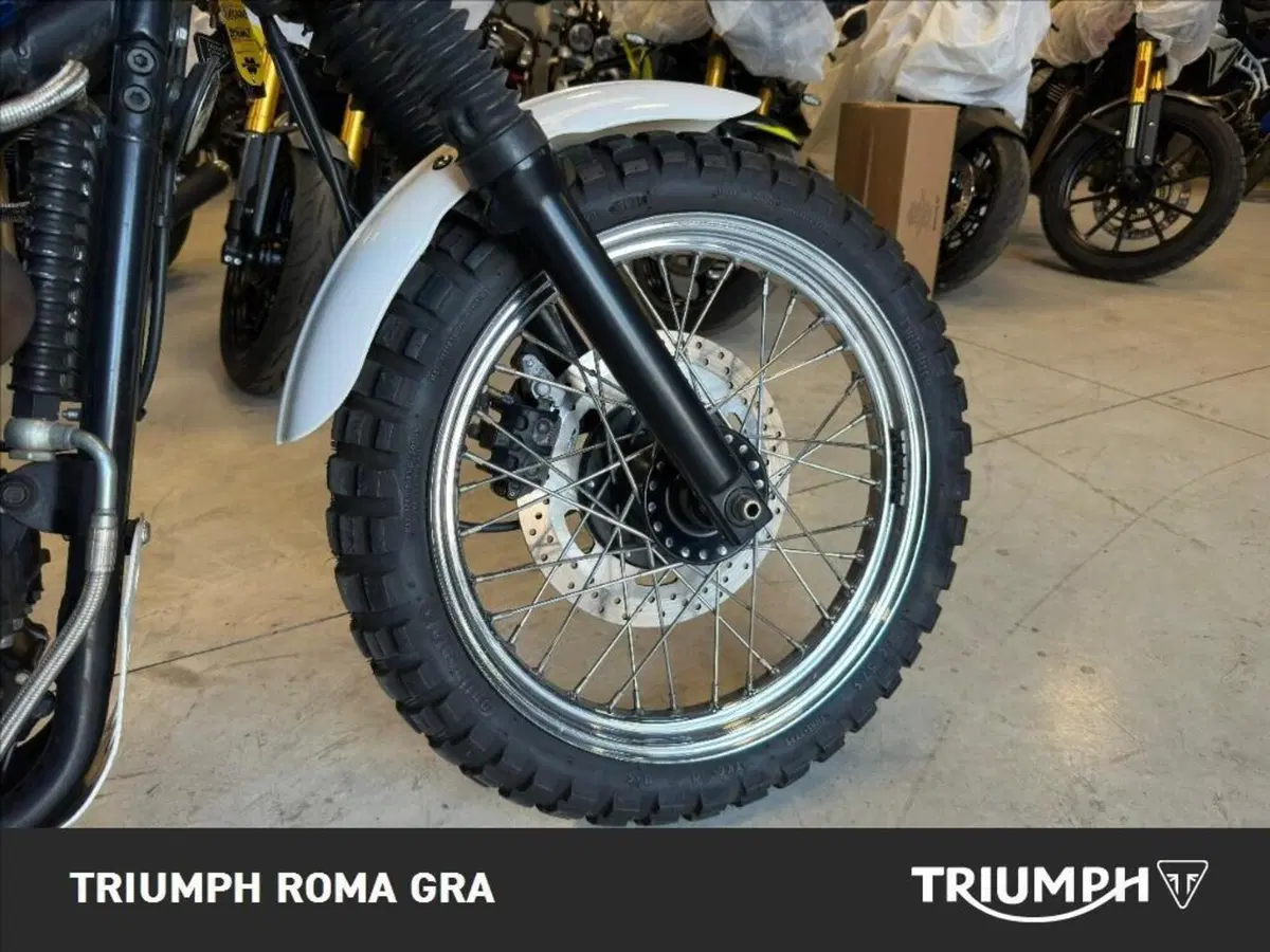 Triumph Scrambler (2006 - 17) (7)