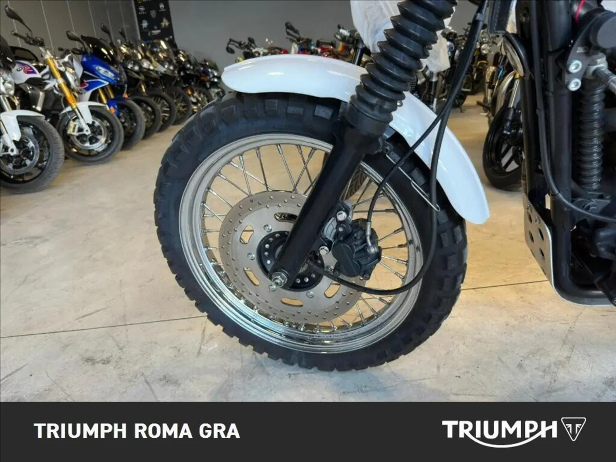Triumph Scrambler (2006 - 17) (8)