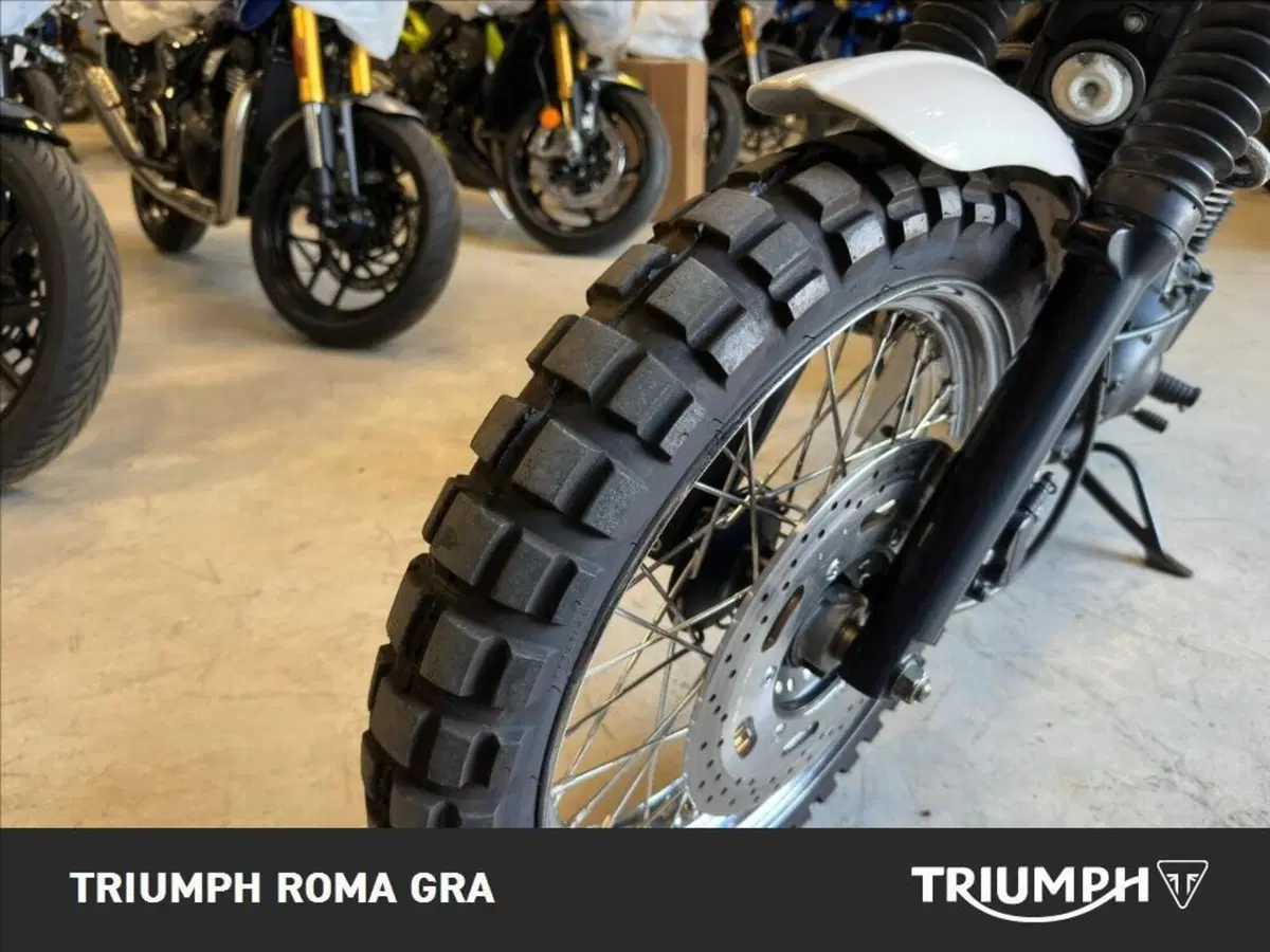 Triumph Scrambler (2006 - 17) (20)