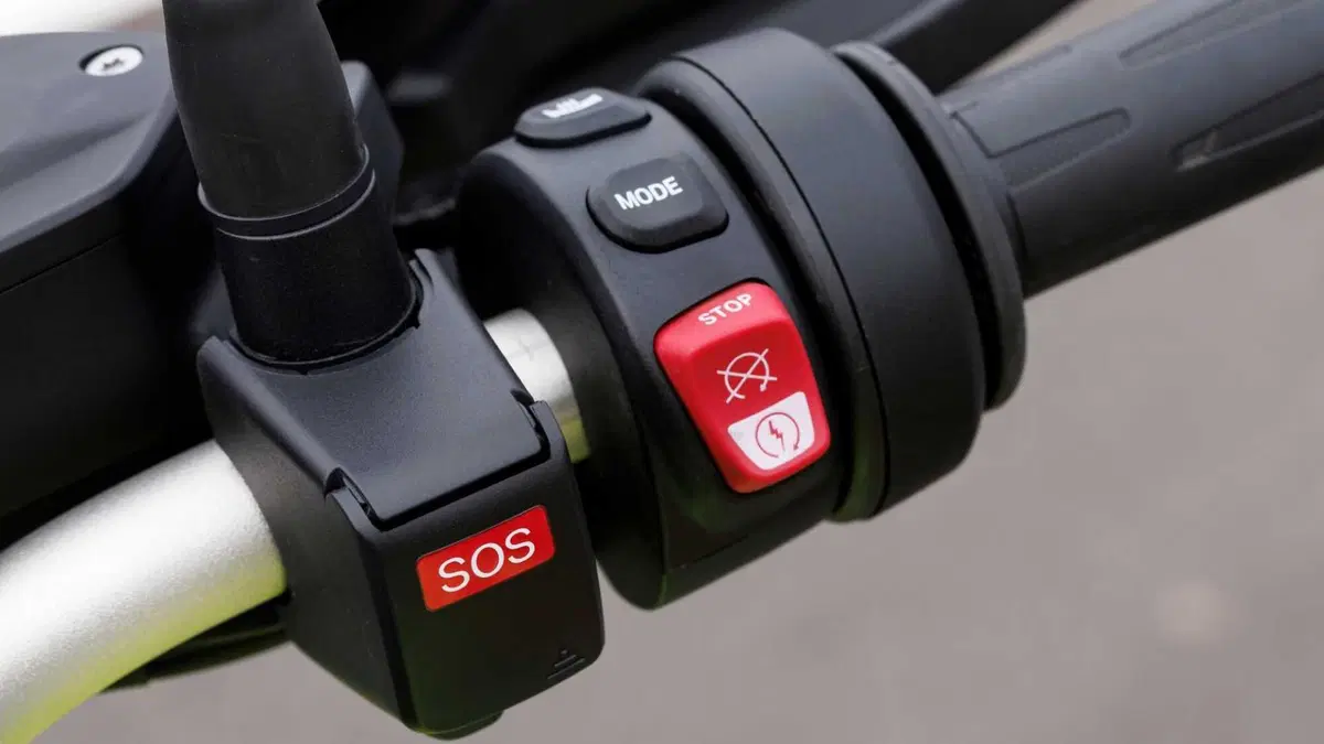 Bmw F 900 GS F 900 GS (2024 - 26) (14)