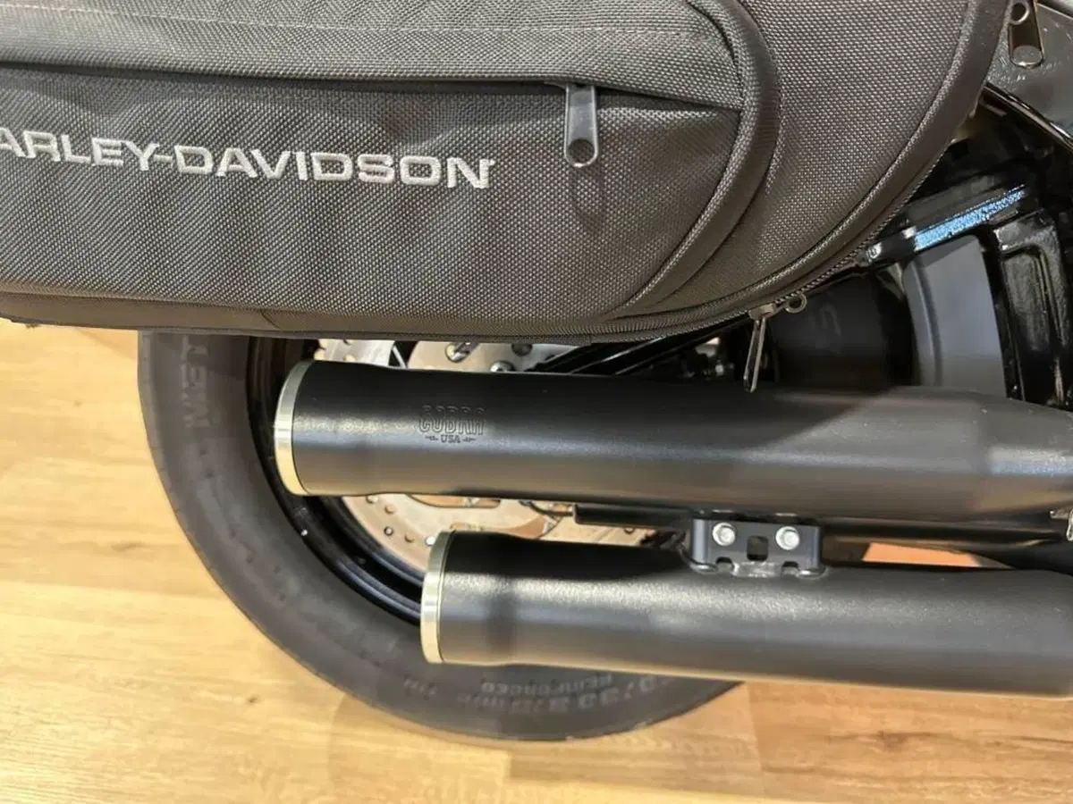 Harley-Davidson 107 Street Bob (2018 - 20) - FXBB (12)
