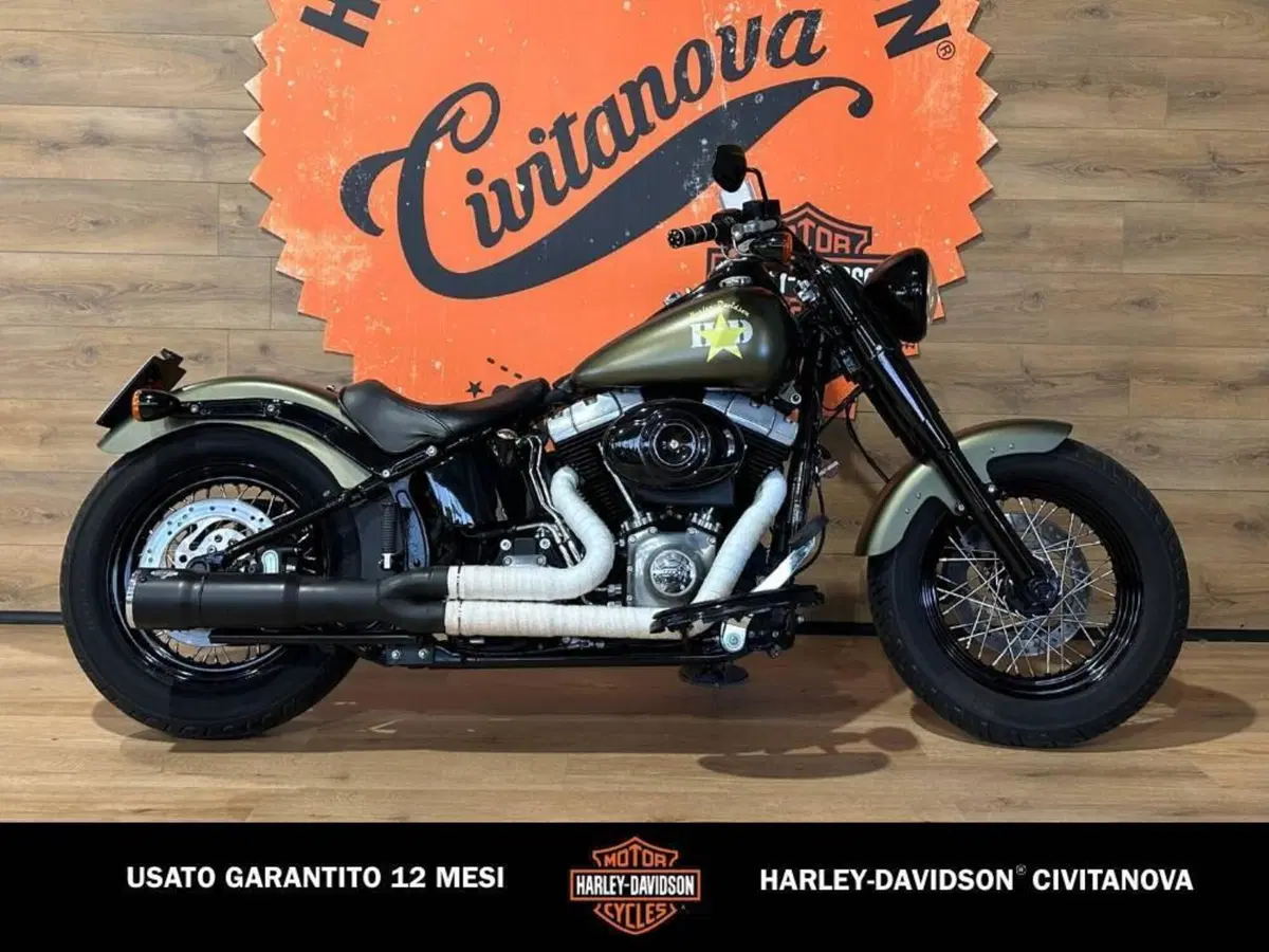Harley-Davidson 1690 Slim (2011 - 16) - FLS