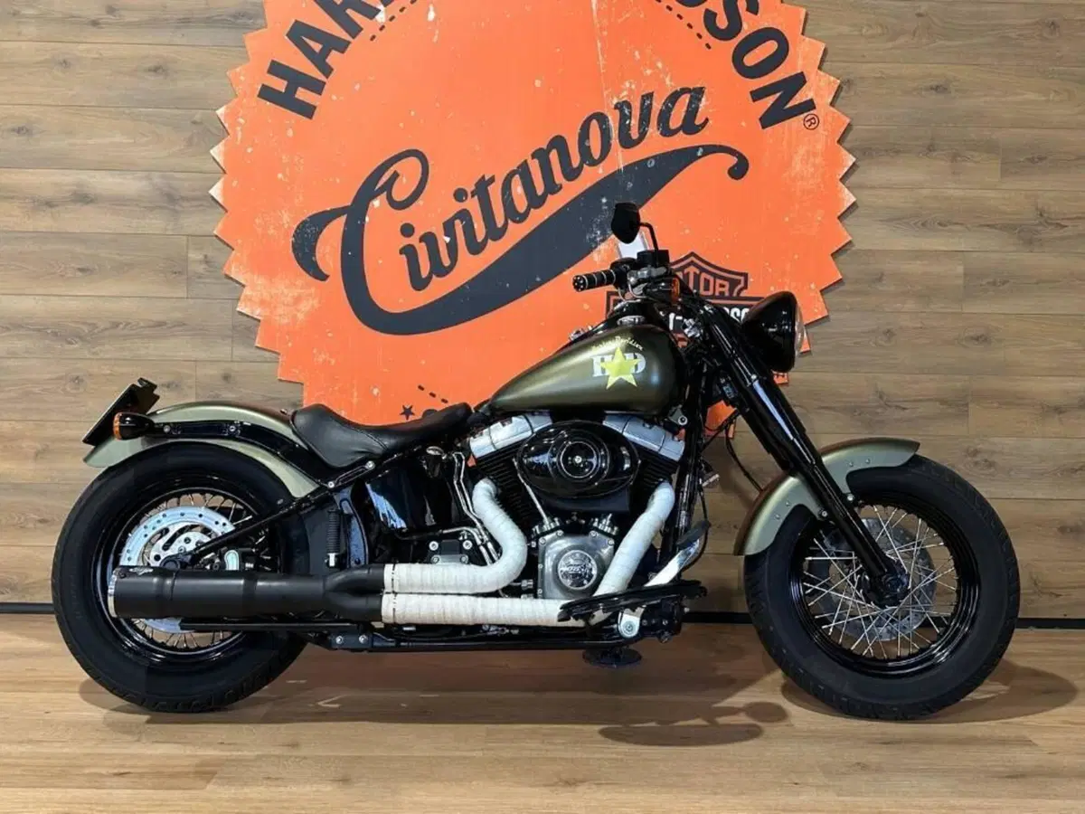 Harley-Davidson 1690 Slim (2011 - 16) - FLS (2)