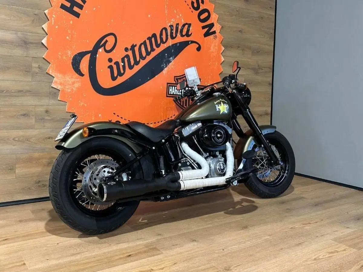 Harley-Davidson 1690 Slim (2011 - 16) - FLS (3)