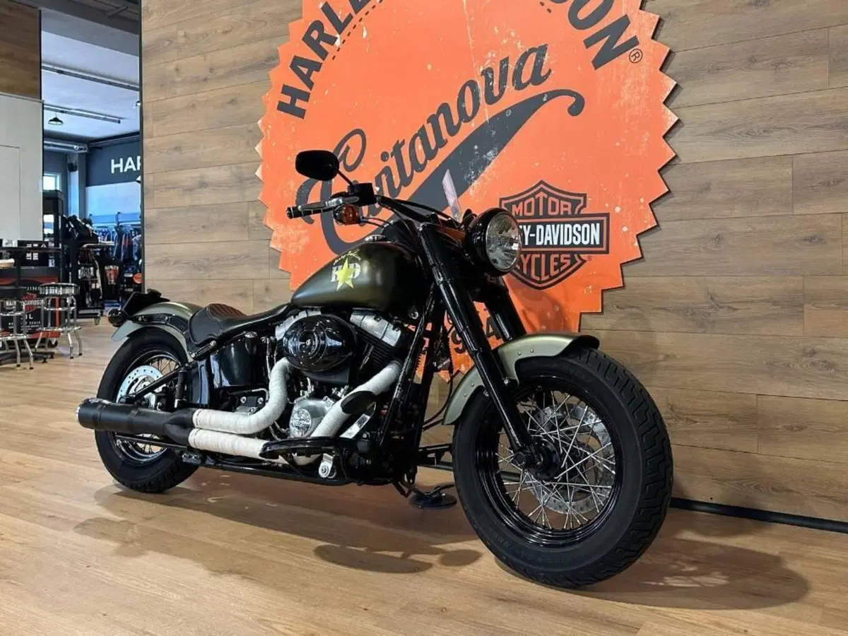 Harley-Davidson 1690 Slim (2011 - 16) - FLS (4)