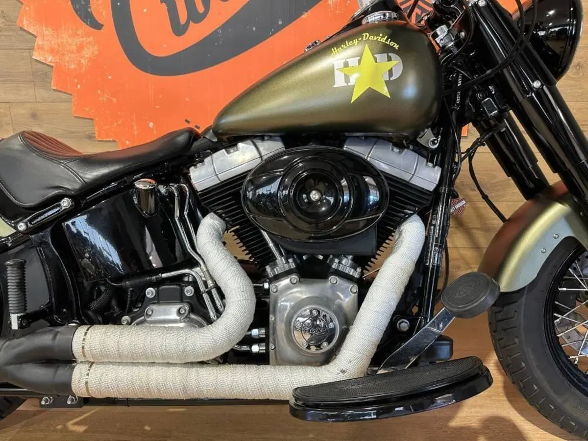 Harley-Davidson 1690 Slim (2011 - 16) - FLS (5)