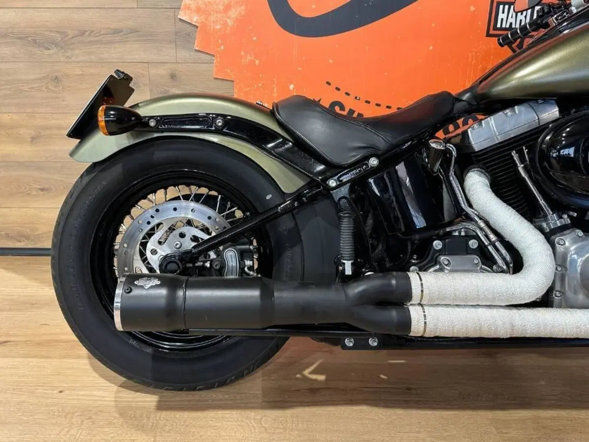 Harley-Davidson 1690 Slim (2011 - 16) - FLS (6)
