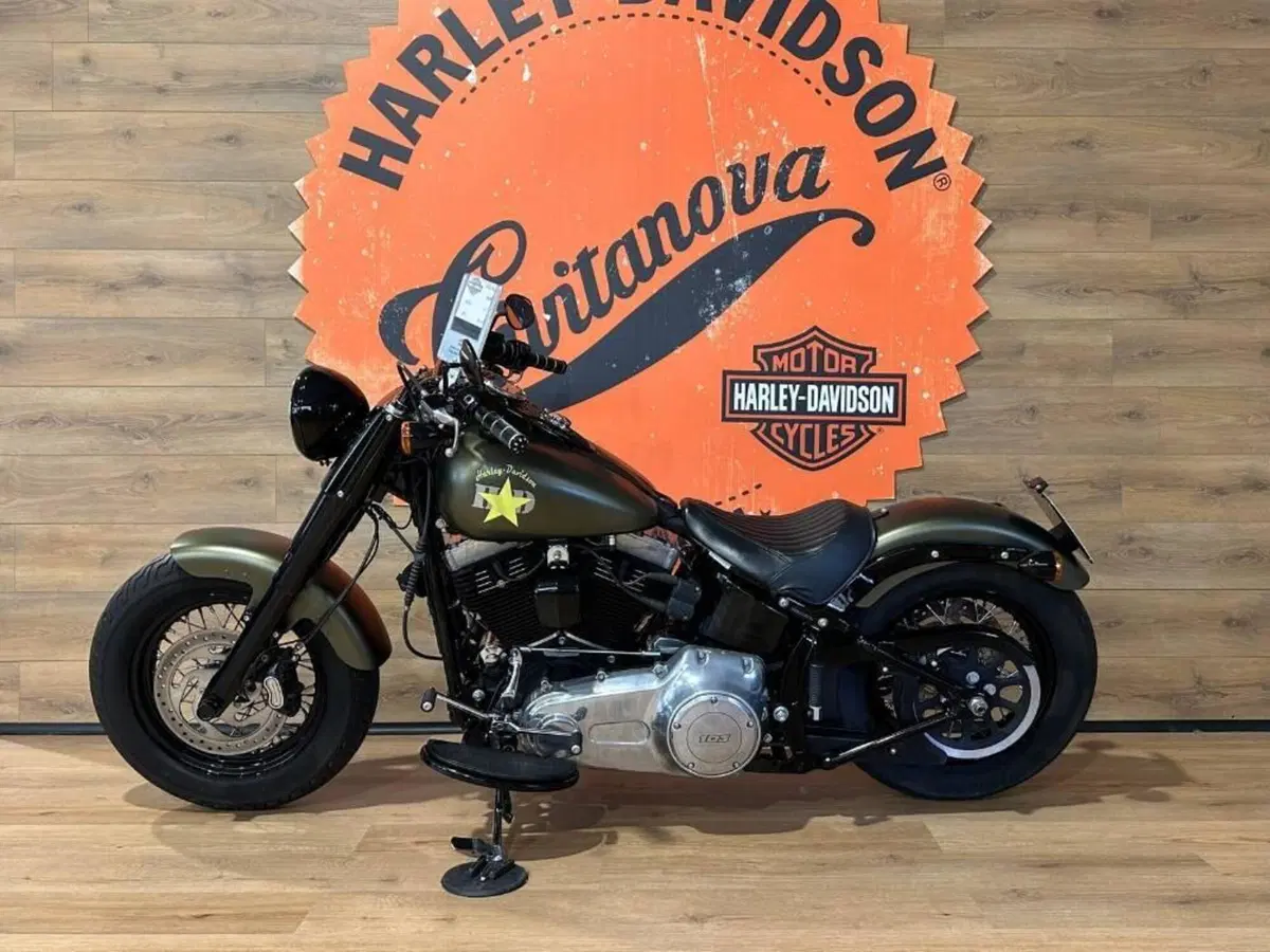 Harley-Davidson 1690 Slim (2011 - 16) - FLS (7)