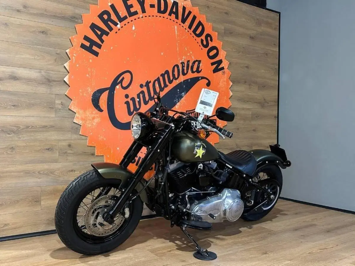 Harley-Davidson 1690 Slim (2011 - 16) - FLS (8)
