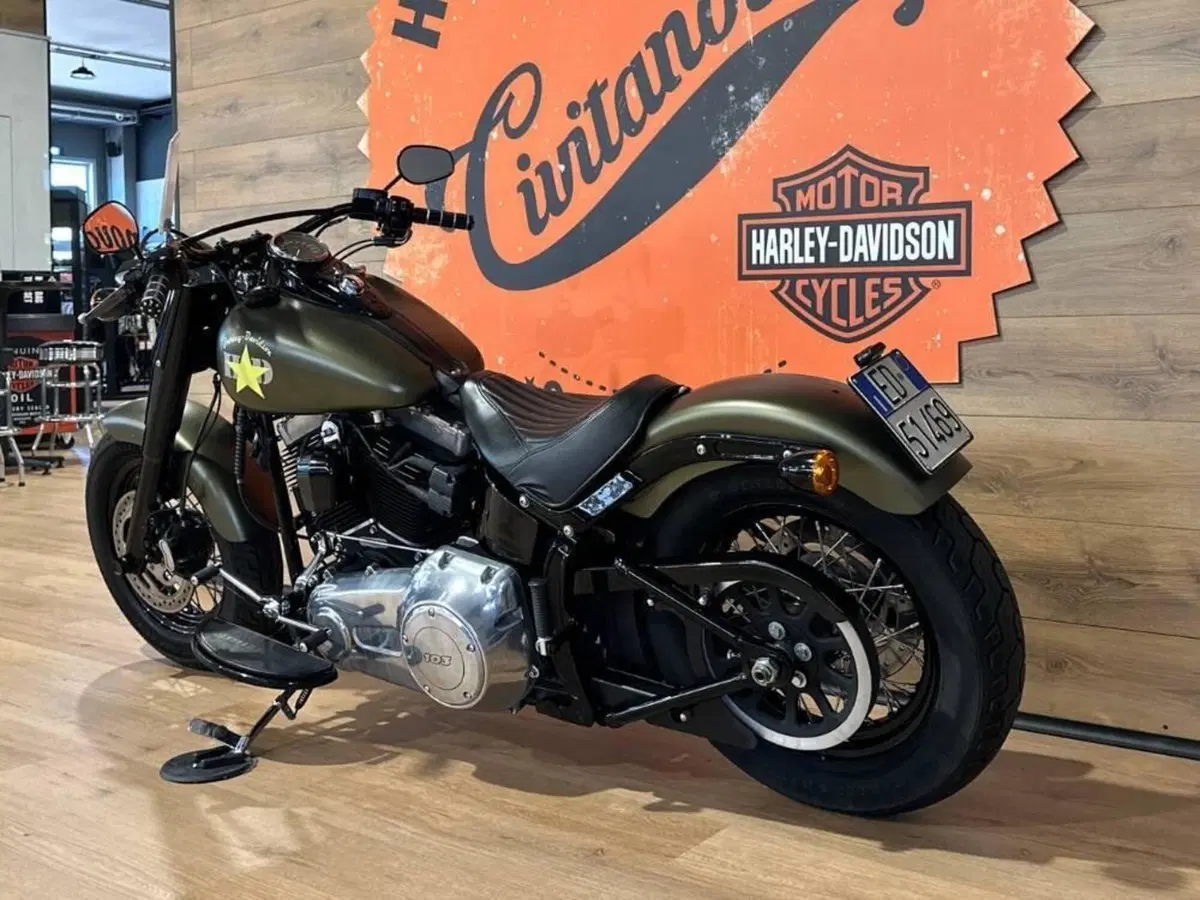 Harley-Davidson 1690 Slim (2011 - 16) - FLS (9)