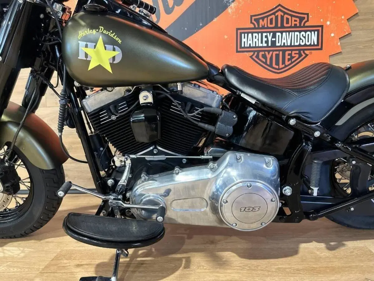 Harley-Davidson 1690 Slim (2011 - 16) - FLS (10)