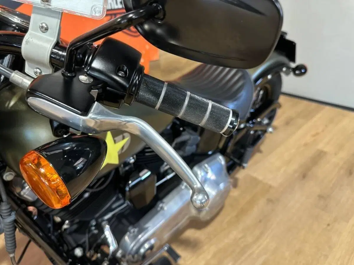 Harley-Davidson 1690 Slim (2011 - 16) - FLS (11)