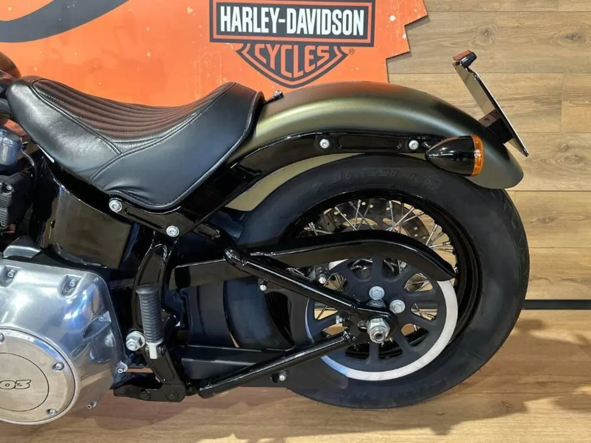 Harley-Davidson 1690 Slim (2011 - 16) - FLS (12)