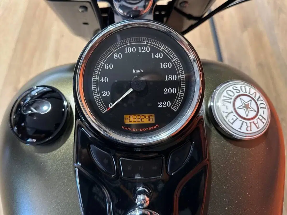 Harley-Davidson 1690 Slim (2011 - 16) - FLS (13)