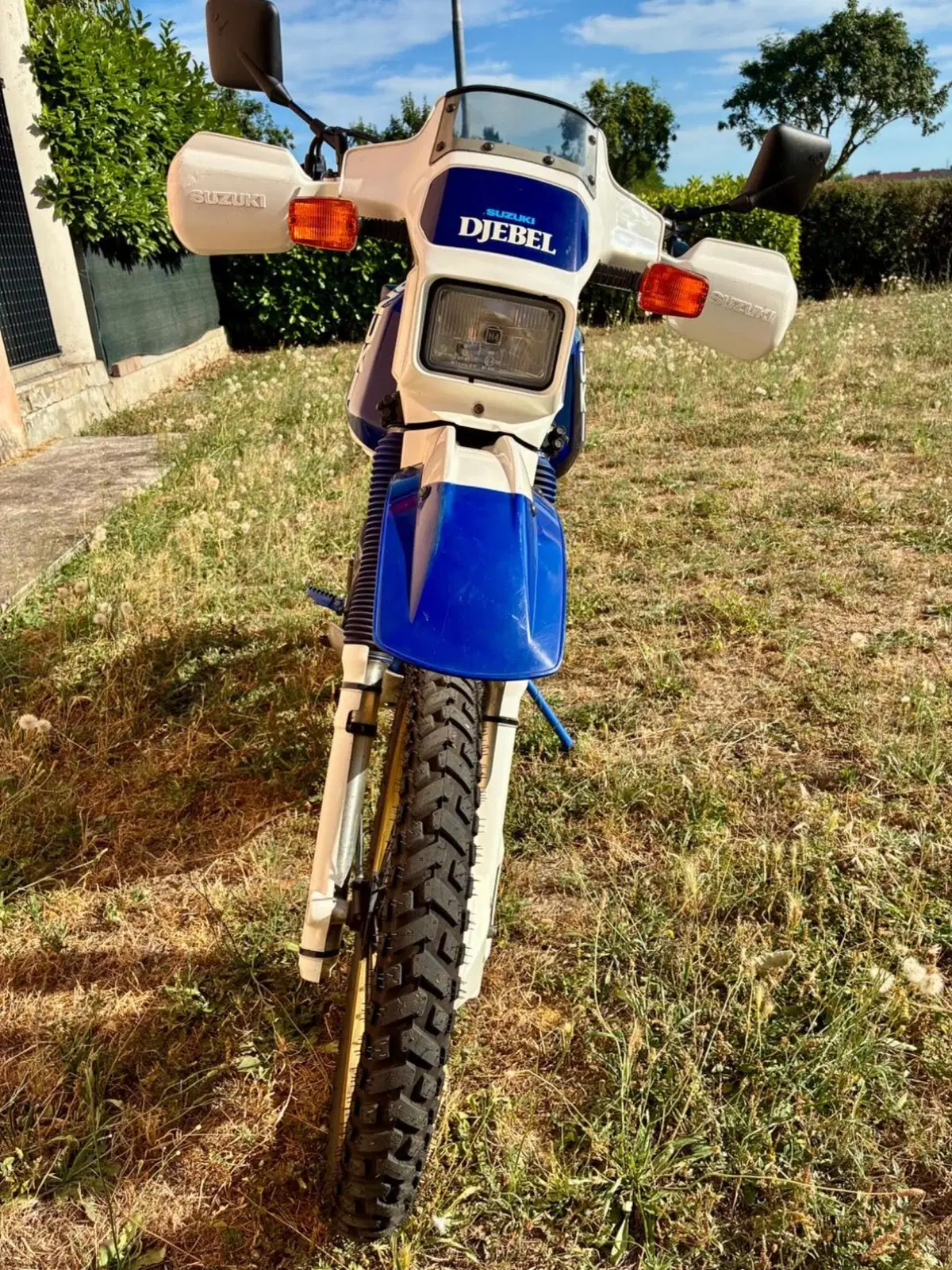 Suzuki Dr 600 Djebel (3)