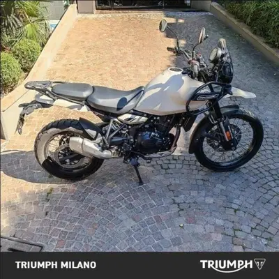 Royal Enfield Himalayan 450 (2024 - 26) usata