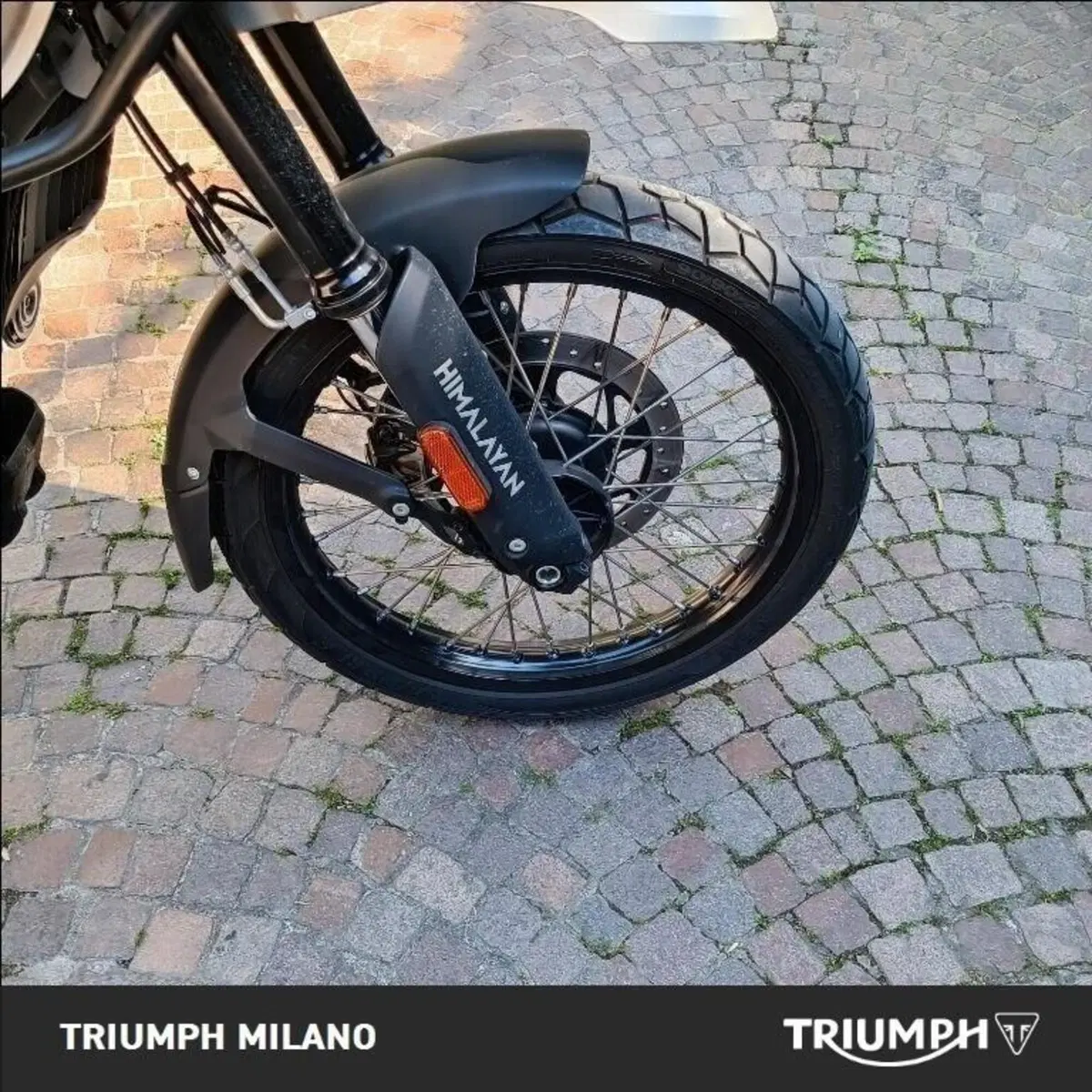 Royal Enfield Himalayan 450 (2024 - 26) (4)