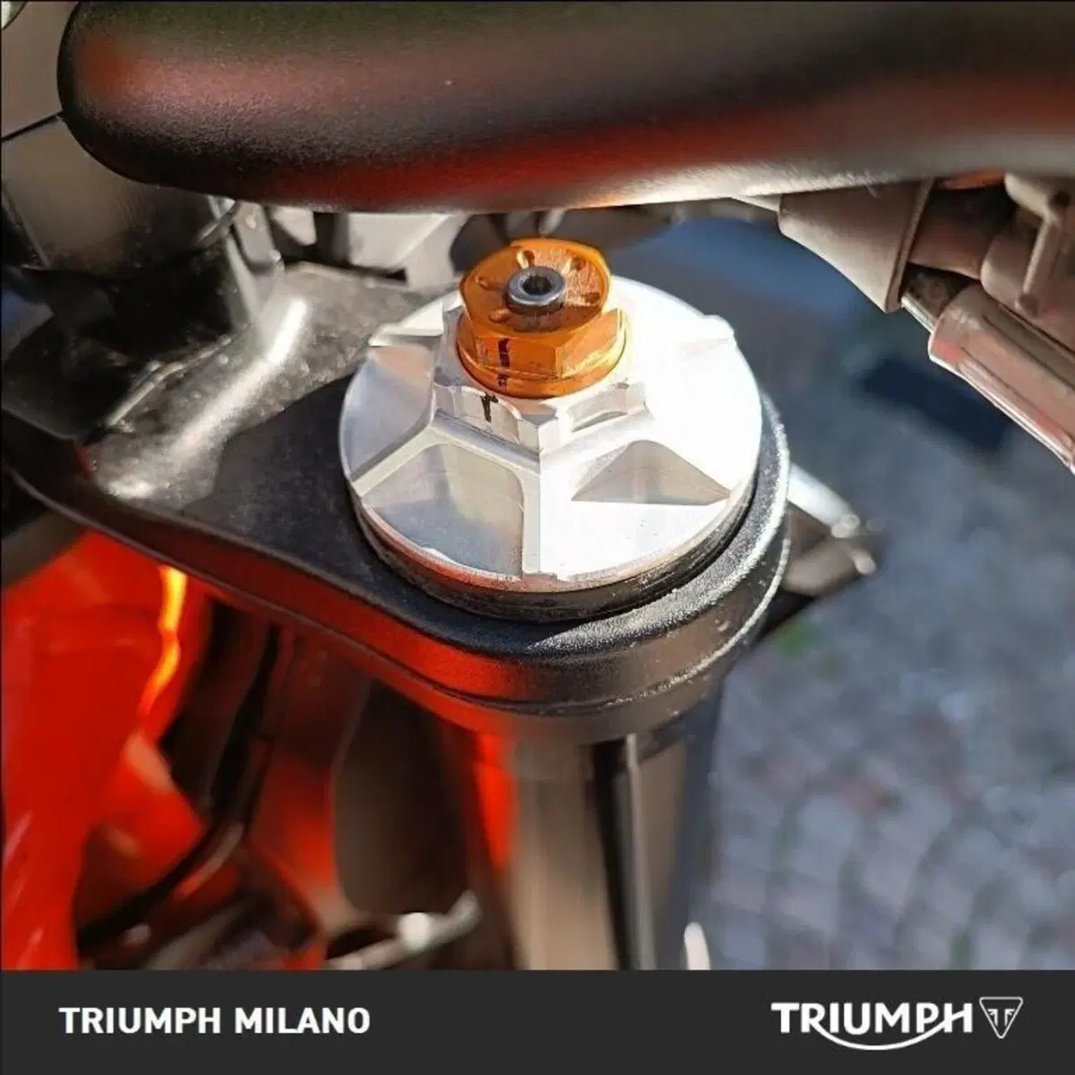 KTM 890 Duke R (2021) (6)