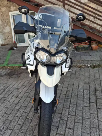 Triumph Tiger 800 XRx (2018 - 20) usata