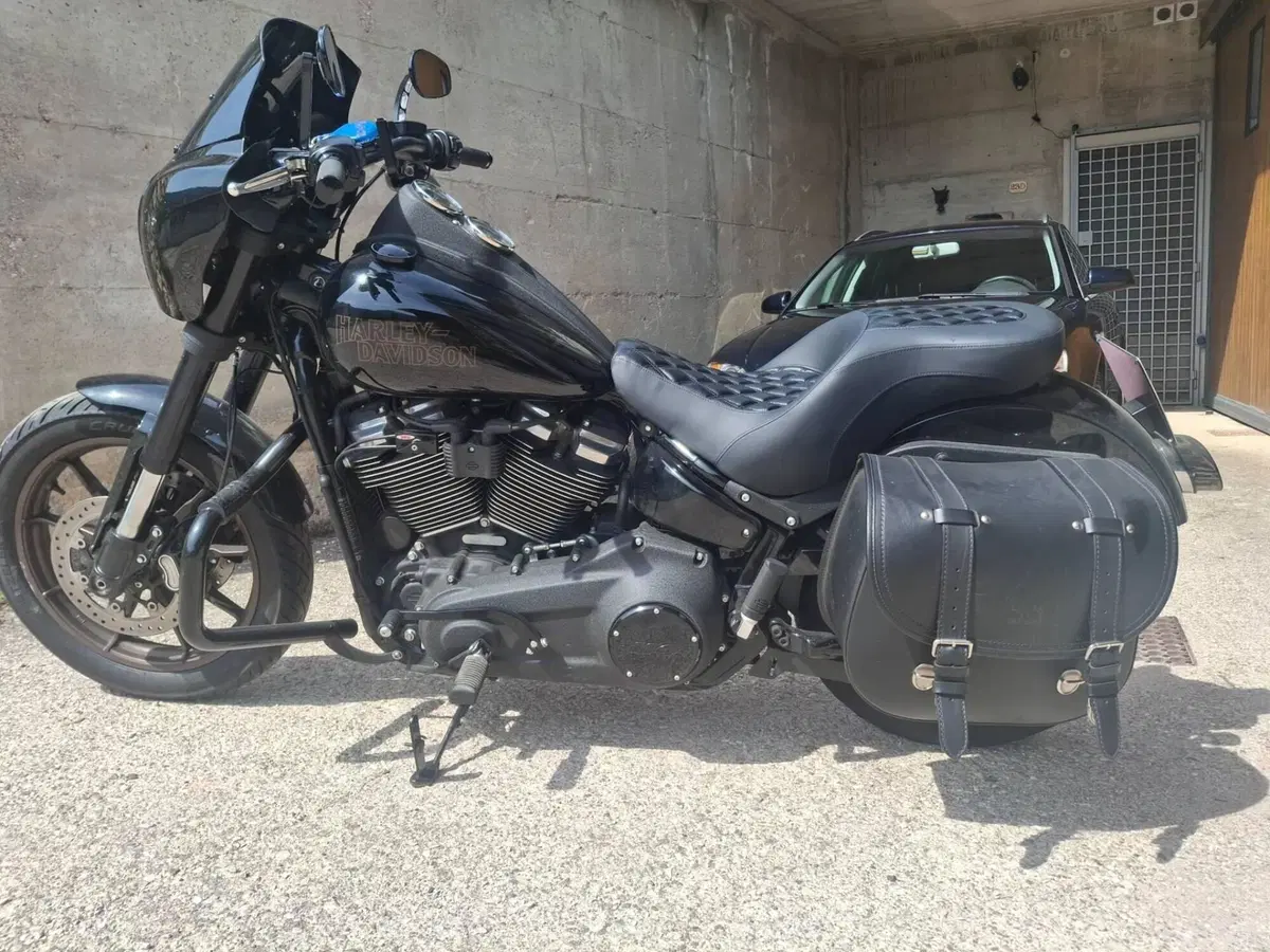 Harley-Davidson 114 Low Rider S (2020) - FXLRS (5)