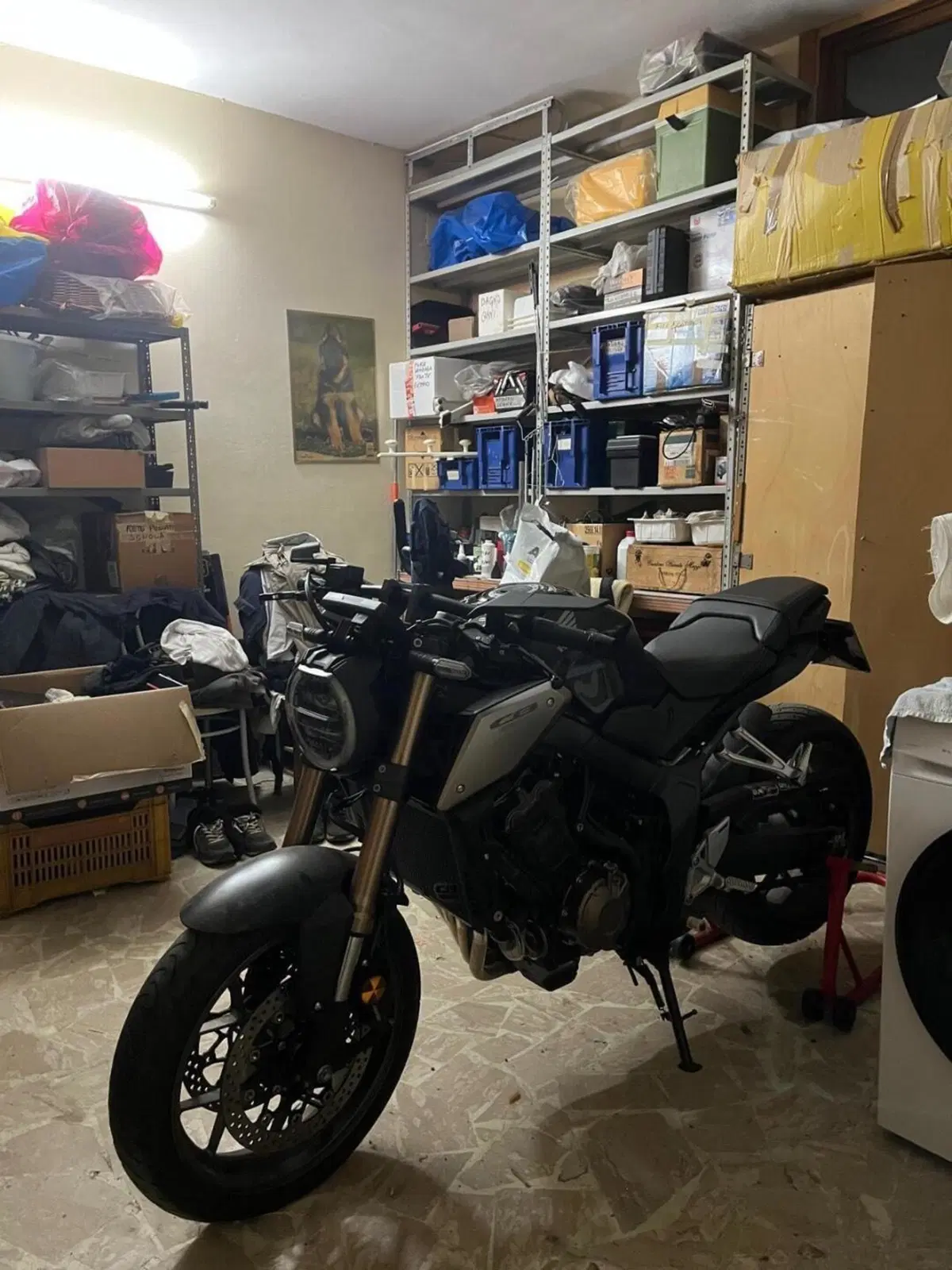Honda CB 650 R (2019 - 20) (5)