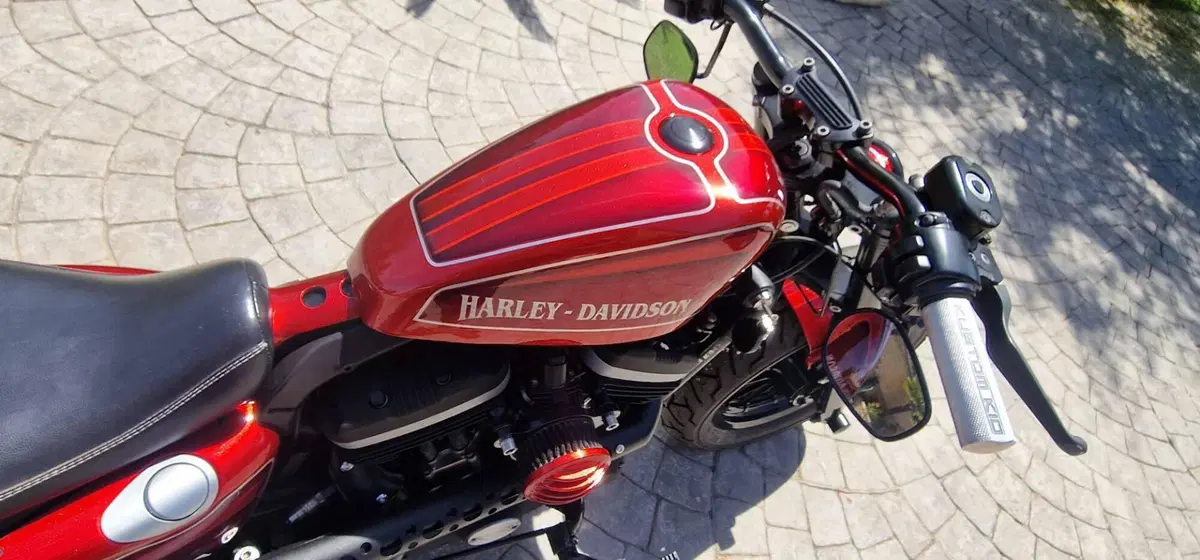 Harley-Davidson 883 Iron (2009 - 11) - XL 883N (2)