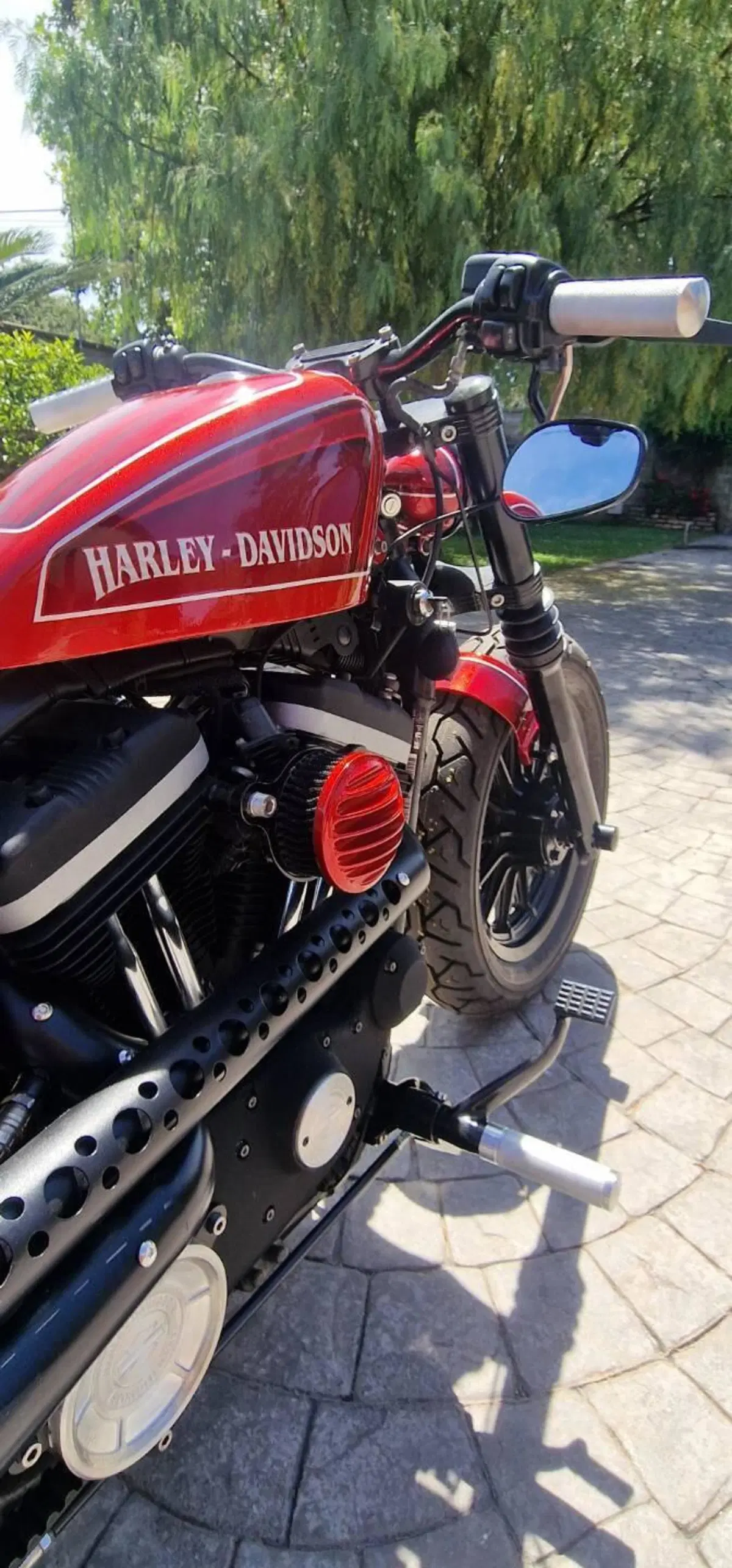 Harley-Davidson 883 Iron (2009 - 11) - XL 883N (3)