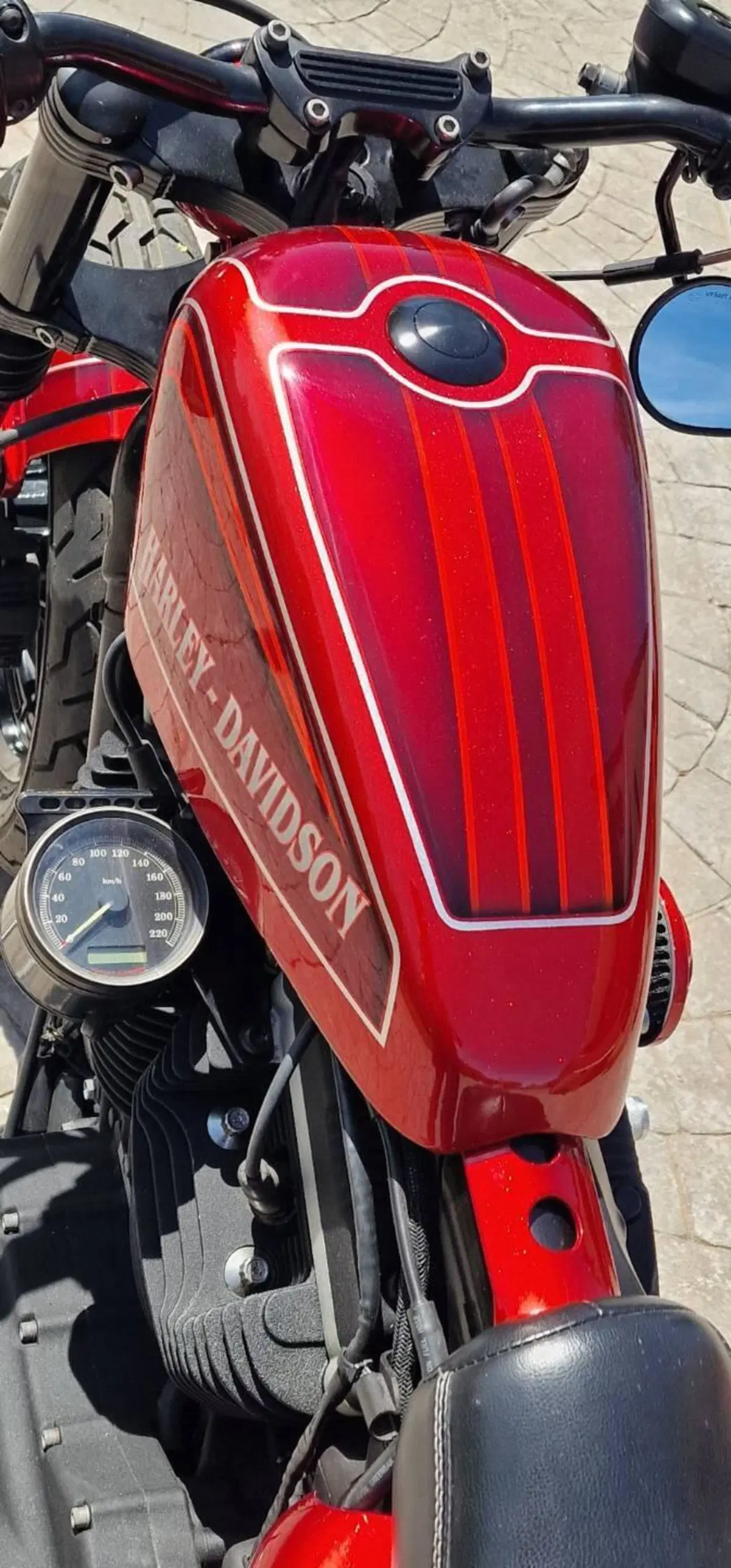 Harley-Davidson 883 Iron (2009 - 11) - XL 883N (4)